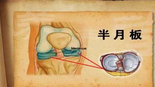 天降甘霖草木盛,牛肥羊壮家畜旺是什么生肖，详细解答、全面解答解释落实