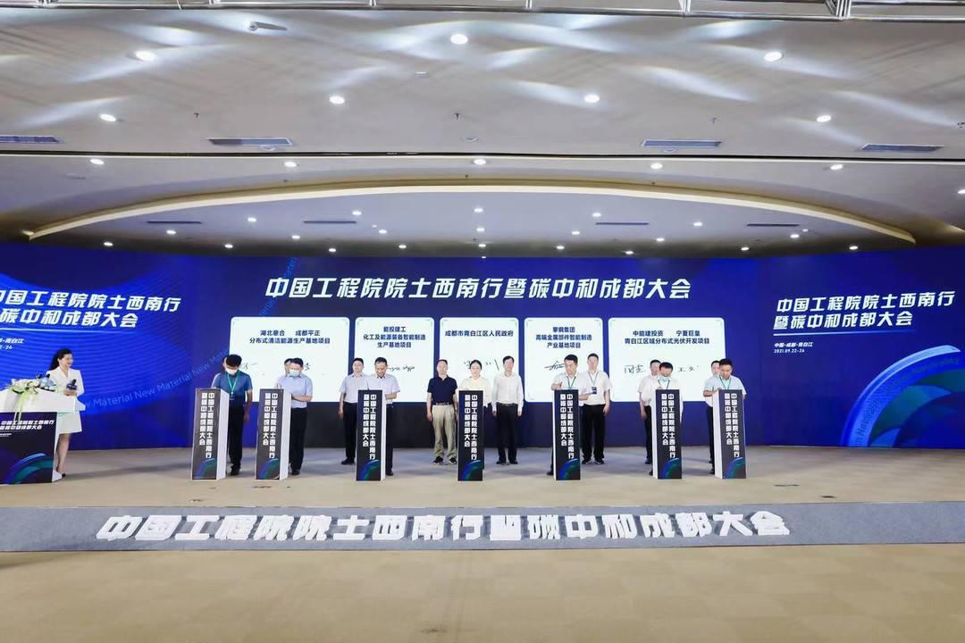 阴阳之变打一动物生肖仔细释义、解释与落实、前沿解答解释落实