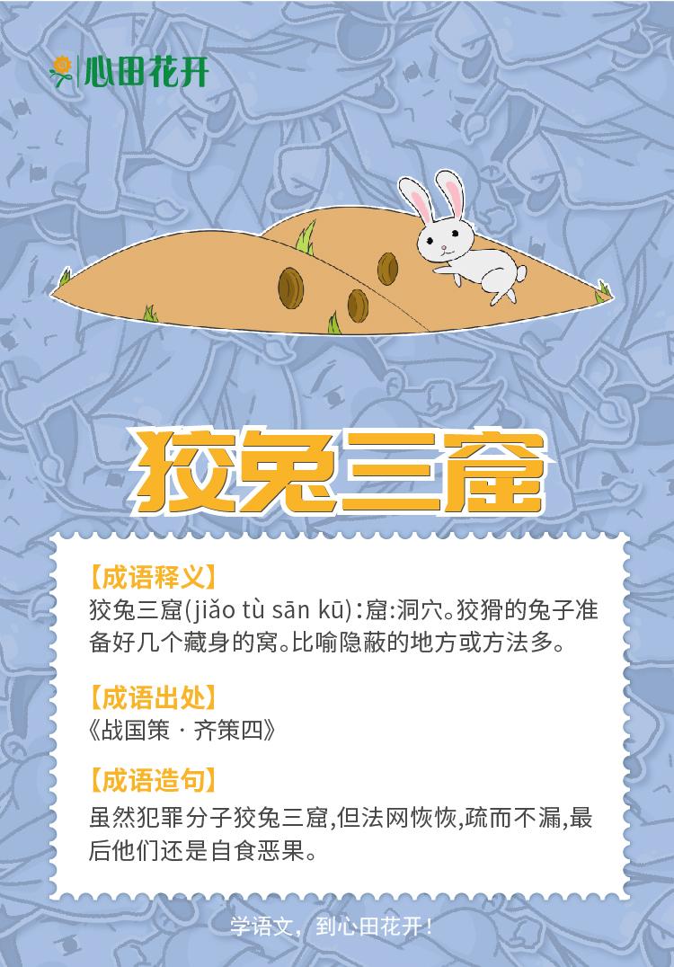 狡兔三窟打一准确生肖详细解答、全面解答解释落实