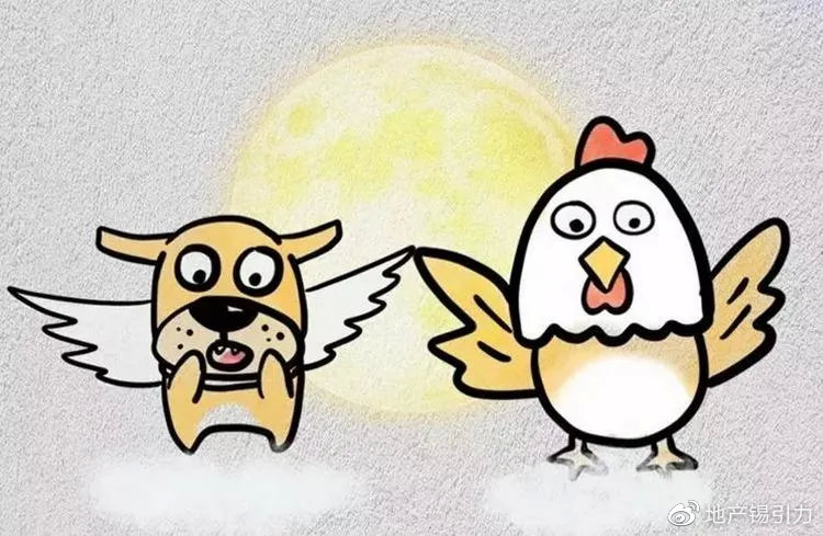 今期生肖十一头，鸡狗升天定有码打一正确生肖、警惕虚假宣传-全面释义、专家解答解释落实