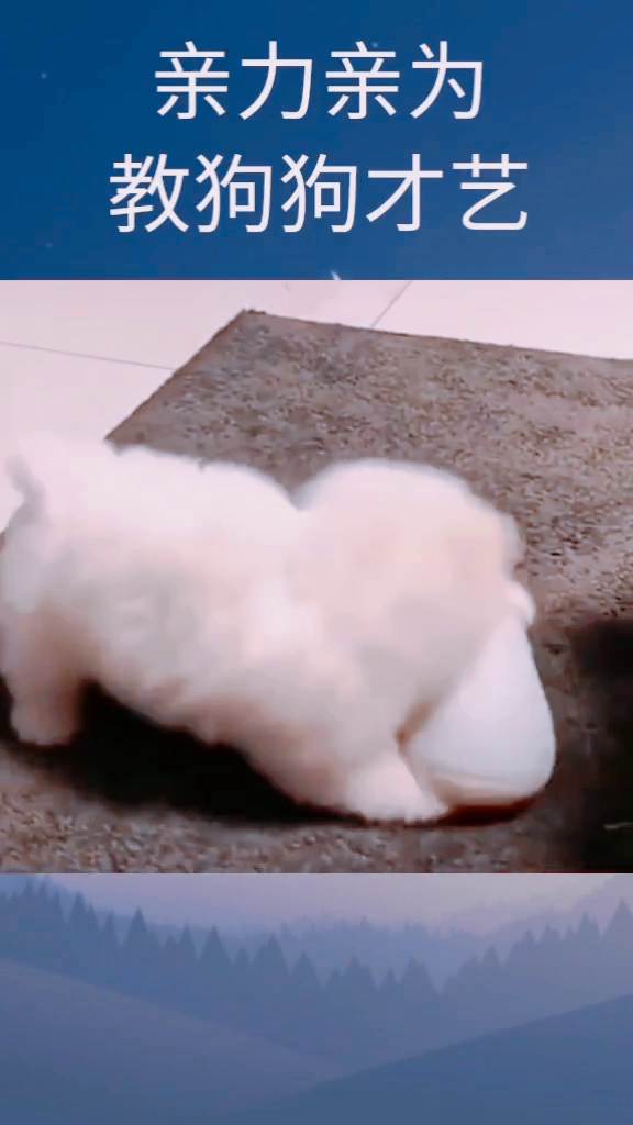 一手一腳，親力親為。原創精神不作偽打一正确生肖的警惕虚假宣传-定量解答解释落实