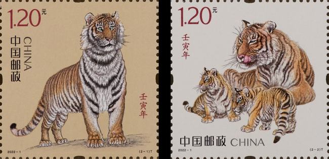 七擒七纵打一生肖是什么生肖，详细解答、精准解答解释落实