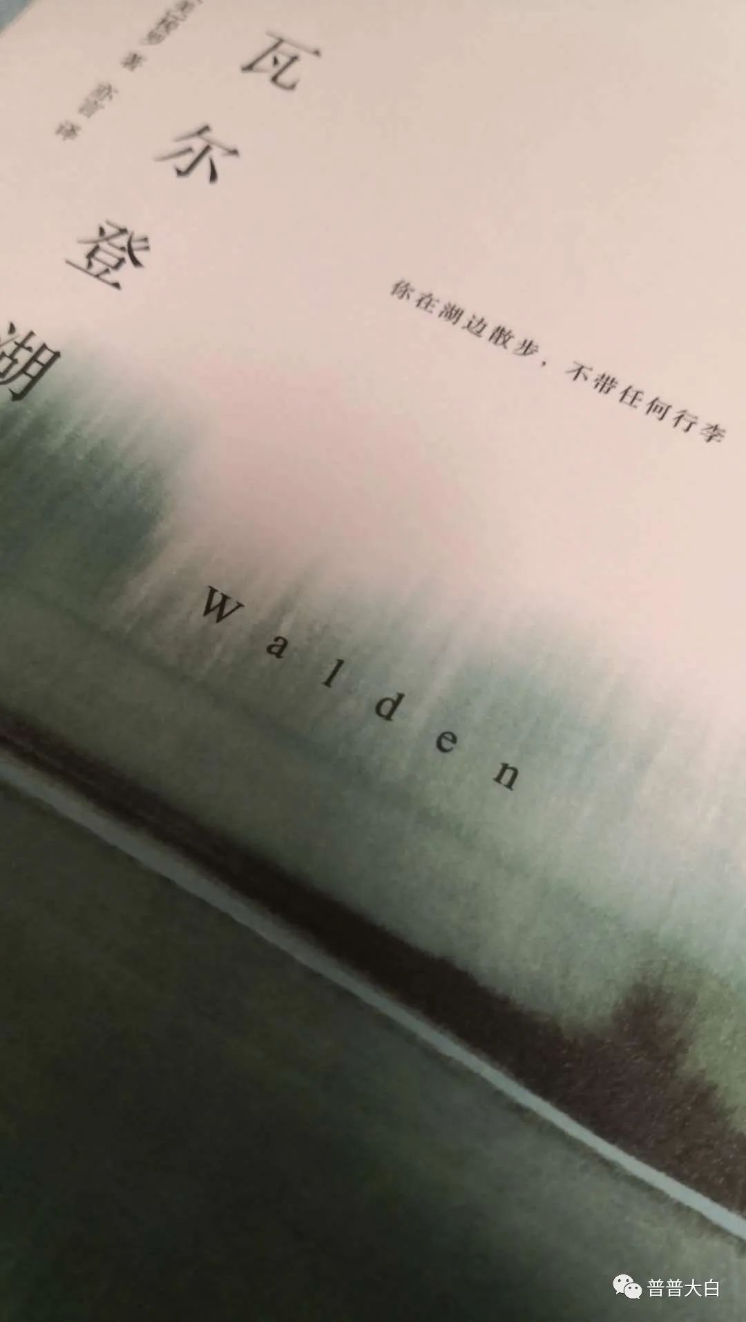 前欢往恨分明在,酒兴诗情大半亡打一生肖,警惕虚假宣传-全面释义、解释与落实、构建解答解释落实