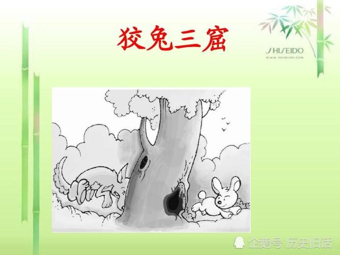 狡兔三窟打一准确生肖请全面释义、解释与落实、时代解答解释落实