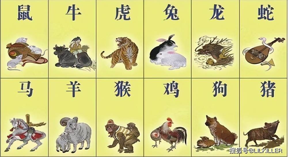 一手一腳，親力親為。原創精神不作偽打一正确生肖,警惕虚假宣传落实,实证解答解释落实