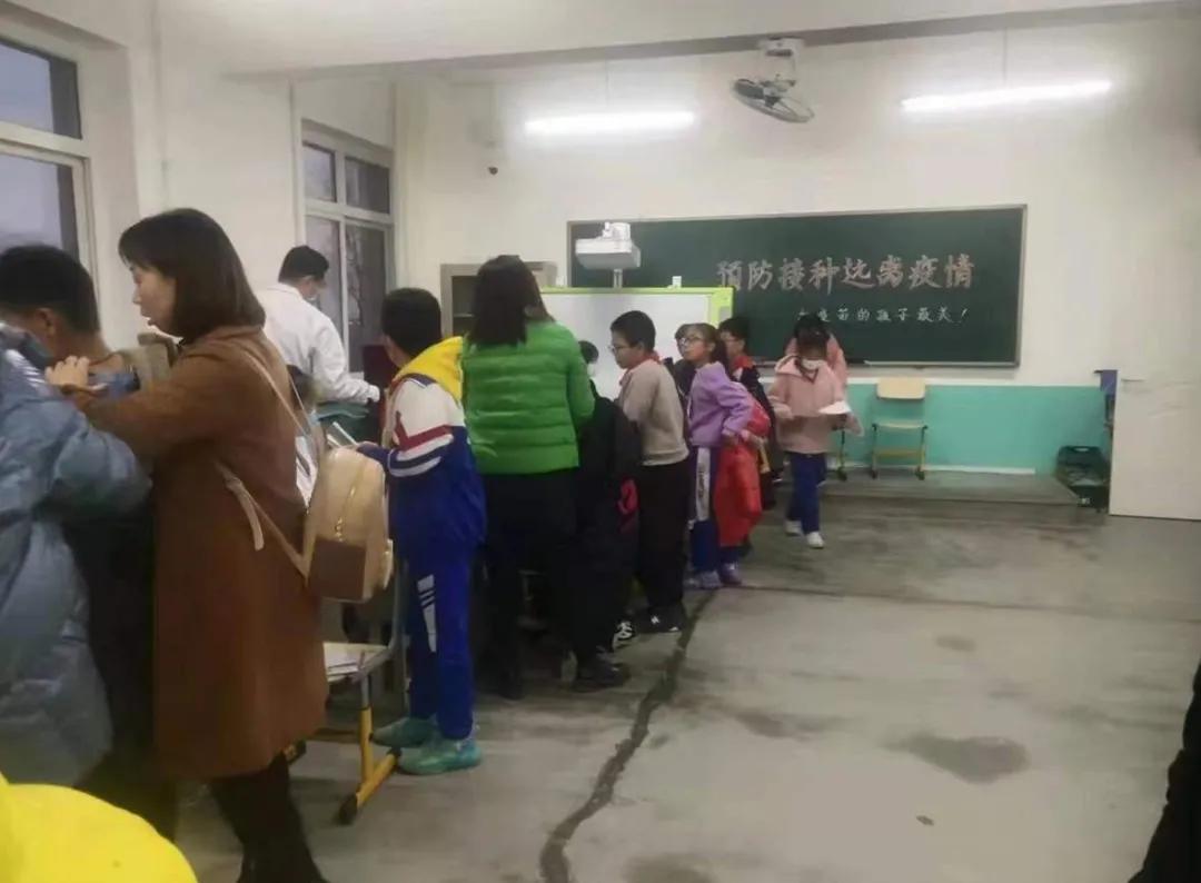 春回地暖打一最佳生肖仔细释义、解释与落实、综合解答解释落实