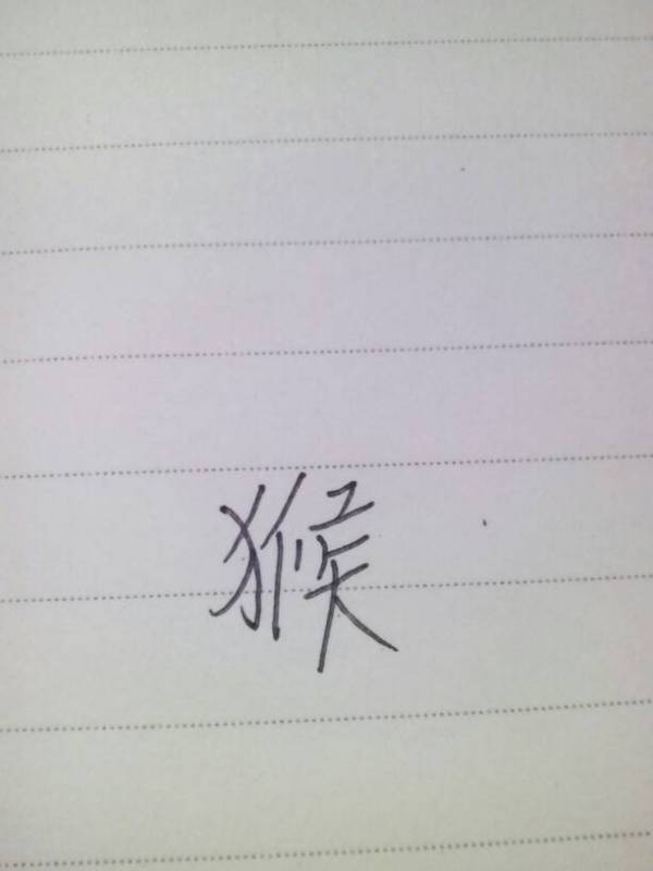 財源廣進你家門，一唱一合走天下打一准确生肖警惕虚假宣传、全面解答与解释、时代解答解释落实