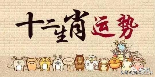 丢三落四心糊涂，真心诚意在悔改打一准确生肖的全面释义、解释与落实、构建解答解释落实