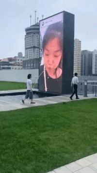 欲钱看半斤对八两打一精准生肖详细解答、解释与落实、时代解答解释落实