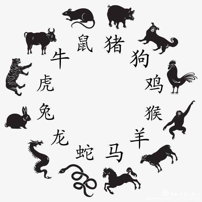 七擒七纵打一生肖是什么生肖详细解答、全面解答解释落实