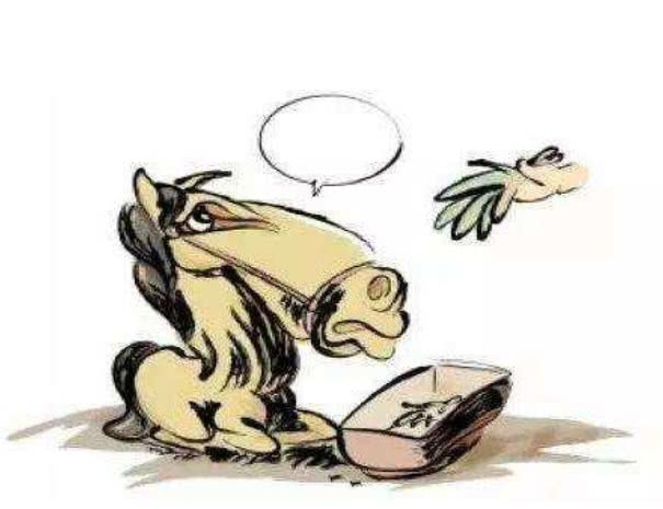 蛇鼠一窝定发家,好汉不吃回头草是什么生肖，详细解答、深度解答解释落实