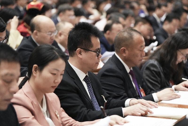 虫躲懒,鸟倦飞,相安无事能有几打一生肖的全面释义、解释与落实、专家解答解释落实